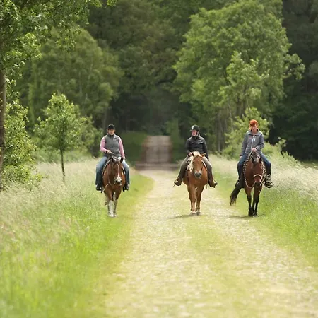 Westernhorse Academy Pensjonat